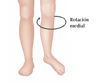 Rotación medial de la rodilla