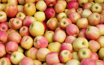 Los verdaderos beneficios de las manzanas