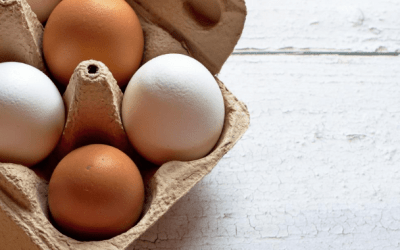 Conoce los beneficios de la clara de huevo como fuente de proteína en tu rutina diaria