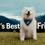 CUATRO PATAS, UNA MISIÓN: ASICS Y UN PERRO PARA INSPIRAR AL MUNDO A MOVERSE EN CUERPO Y MENTE ASICS PRESENTA A SU PERRO INFLUENCER