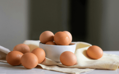 Cómo mejorar tu rendimiento físico con el apoyo de la proteína de clara de huevo deshidratada