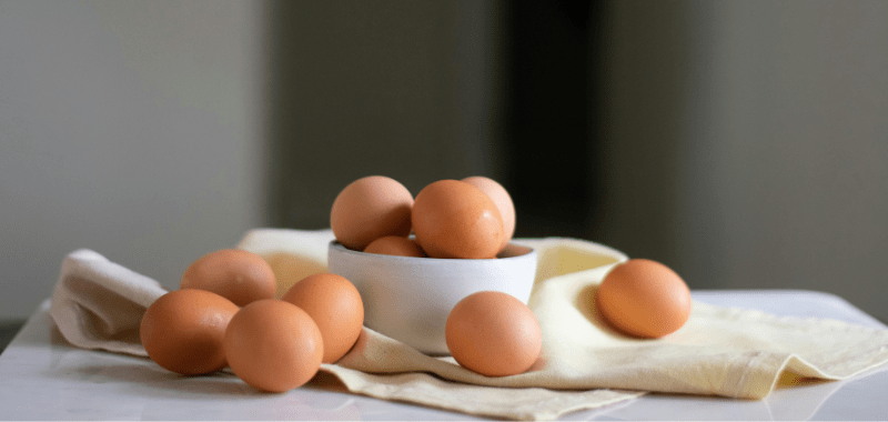 Cómo mejorar tu rendimiento físico con el apoyo de la proteína de clara de huevo deshidratada