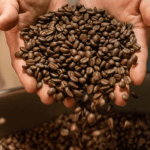 Empieza el día con el café de calidad